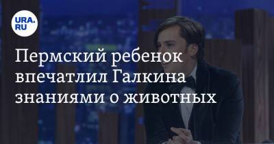 Максим Галкин - Виктор Цой - Пермский ребенок впечатлил Галкина знаниями о животных - ura.news - Пермский край - республика Карелия