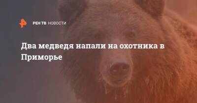 Два медведя напали на охотника в Приморье - ren.tv - Приморье край