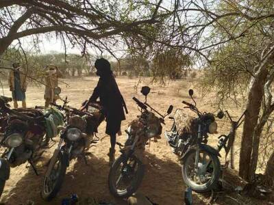 Конфликт интересов: «Аль-Каида» пытается вытеснить филиал ИГ из Мали - free-news.su - Мали - Нигер