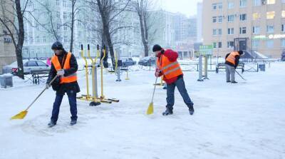 С улиц Петербурга за неделю вывезли 320 тысяч «кубов» снега - neva.today - Санкт-Петербург