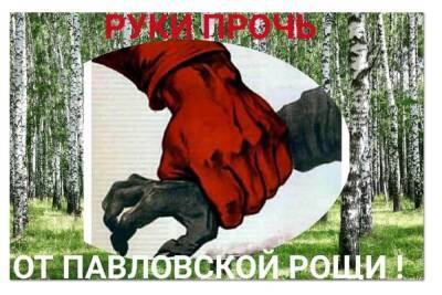 Ярославская правозащитница рассказала о перспективах Павловской рощи - yar.mk.ru - Ярославль - район Дзержинский, Ярославль