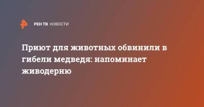 Приют для животных обвинили в гибели медведя: напоминает живодерню - ren.tv - Курск