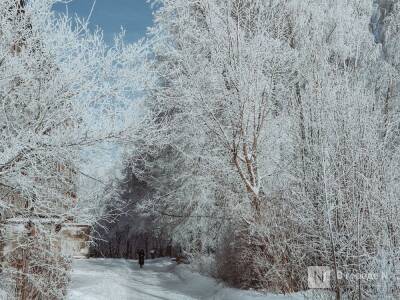 Похолодание до -13°С и снег ожидают нижегородцев на этой неделе - vgoroden.ru - Нижний Новгород - Приволжье
