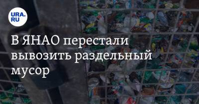 В ЯНАО перестали вывозить раздельный мусор. Фото - ura.news - Ноябрьск - окр. Янао - Экология