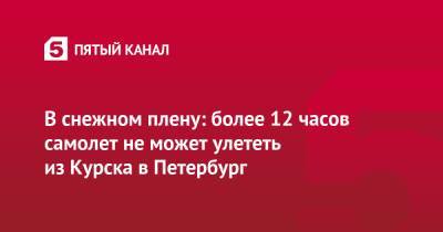 В снежном плену: более 12 часов самолет не может улететь из Курска в Петербург - 5-tv.ru - Санкт-Петербург - Курск
