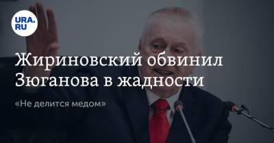 Владимир Жириновский - Геннадий Зюганов - Жириновский обвинил Зюганова в жадности. «Не делится медом» - ura.news - Россия