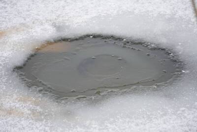 Воронежские спасатели вытащили провалившуюся под лёд водохранилища лошадь - gorcom36.ru - Воронеж