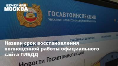 Назван срок восстановления полноценной работы официального сайта ГИБДД - vm.ru - Россия