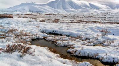 На Ямале мужчина четыре дня блуждал в тундре в 40-градусный мороз - mir24.tv - респ. Дагестан - район Кизлярский