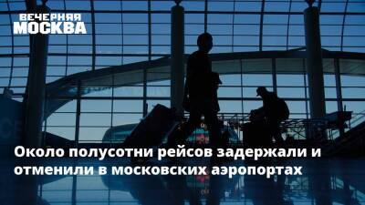 Около полусотни рейсов задержали и отменили в московских аэропортах - vm.ru - Москва - Москва