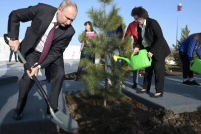 Владимир Путин - Евгений Пригожин - Александр Беглов - СМИ: вместо парка Путин достроит в Петербурге судебный квартал - mk.ru - Россия - Санкт-Петербург