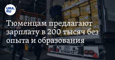 Тюменцам предлагают зарплату в 200 тысяч без опыта и образования - ura.news - Московская обл. - Тюменская обл.