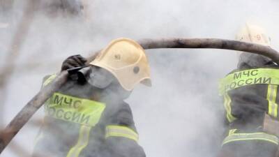 Житель Ялты попытался сбросить лестницу спасателей во время пожара - 5-tv.ru - Крым - Ялты - Крым