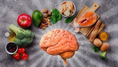 Как фрукты и овощи влияют на память и работоспособность - fokus-vnimaniya.com