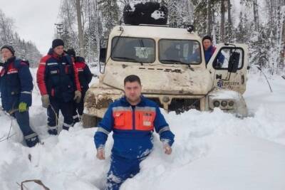 Энергетики посетовали на полуметровые сугробы на севере Новгородской области - mk.ru - Новгородская обл. - Великий Новгород