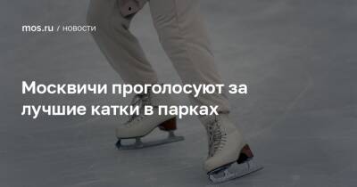 Москвичи проголосуют за лучшие катки в парках - mos.ru - Москва