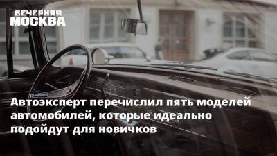 Вячеслав Субботин - Автоэксперт перечислил пять моделей автомобилей, которые идеально подойдут для новичков - vm.ru