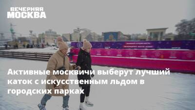 Активные москвичи выберут лучший каток с искусственным льдом в городских парках - vm.ru - Москва - Москва