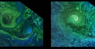 Ученые разгадали тайну циклонов на Юпитере с помощью фитопланктона на Земле - focus.ua - США - Украина - Италия - Сан-Диего - Рим - шт. Калифорния