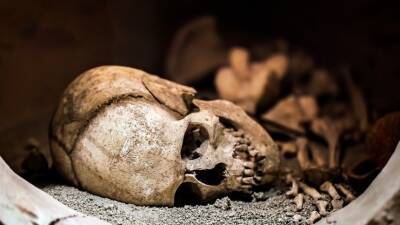 Найдены череп и кости школьницы, которую искали в Нижегородской области девять лет - 5-tv.ru - Нижегородская обл.