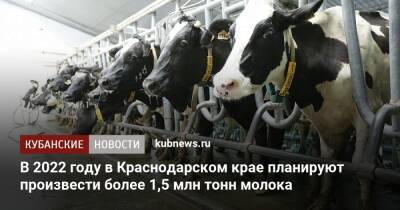 В 2022 году в Краснодарском крае планируют произвести более 1,5 млн тонн молока - kubnews.ru - Краснодарский край