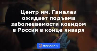 Центр им. Гамалеи ожидает подъема заболеваемости ковидом в России в конце января - news.mail.ru - Россия