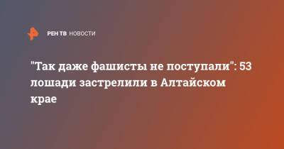 "Так даже фашисты не поступали": 53 лошади застрелили в Алтайском крае - ren.tv - район Вяземский - Алтайский край - Хабаровский край