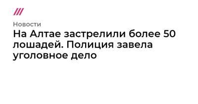 На Алтае застрелили более 50 лошадей. Полиция завела уголовное дело - tvrain.ru - Россия - респ. Алтай