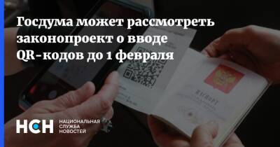 Сергей Леонов - Госдума может рассмотреть законопроект о вводе QR-кодов до 1 февраля - nsn.fm