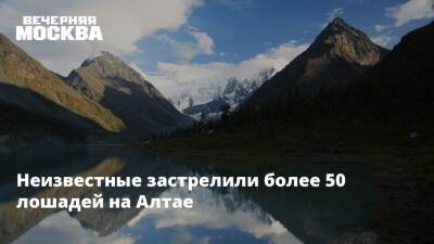 Неизвестные застрелили более 50 лошадей на Алтае - vm.ru - Москва - Египет - респ. Алтай