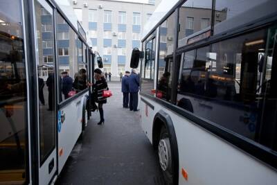 Жители «Северной Долины» пересядут на новые автобусы до «Парнаса» 15 июля - spb.mk.ru - Санкт-Петербург - р-н Приморский