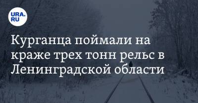 Курганца поймали на краже трех тонн рельс в Ленинградской области - ura.news - Россия - Ленинградская обл. - Курган - окр.Сзфо