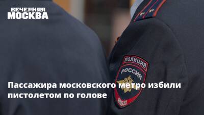 Пассажира московского метро избили пистолетом по голове - vm.ru - Москва - Москва