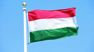 Янош Адер - Парламентские выборы в Венгрии назначены на 3 апреля - belta.by - Белоруссия - Венгрия - Минск