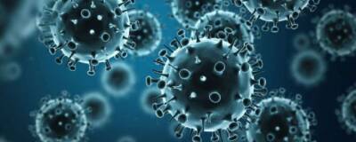 Энтони Фаучи - Project Veritas: американская компания занималась изучением коронавирусов перед пандемией - runews24.ru - Китай - США - Ухань