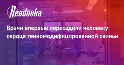 Врачи впервые пересадили человеку сердце генномодифицированной свиньи - readovka.news - New York - шт. Мэриленд