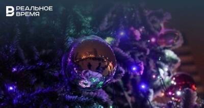 Татьяна Леухина - В КФУ рассказали, зачем утилизировать ели - realnoevremya.ru - респ. Татарстан - Казань - Татарстан - Экология