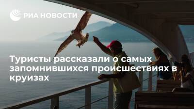 Туристы рассказали, как заканчиваются во время круизов семейные ссоры и пьяные драки - ria.ru - Москва