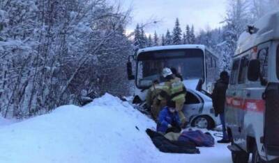В Красноярском крае четыре человека погибли при аварии с автобусом - newizv.ru - Москва - Красноярский край - район Курагинский