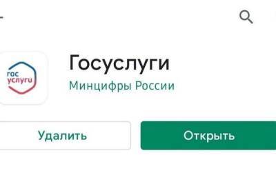 Александр Богомаз - Аккаунты на Госуслугах есть у более чем 80% брянцев - mk.ru - Брянская обл.