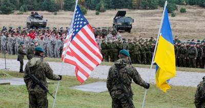 Владимир Путин - Майкл Маккол - В США предложили объявить Украину страной "НАТО-плюс" - focus.ua - Россия - США - Украина