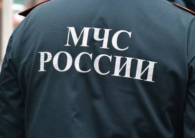 На пожаре в Шацком районе погиб 58-летний мужчина - ya62.ru - Рязанская обл. - район Шацкий