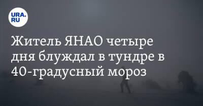 Житель ЯНАО четыре дня блуждал в тундре в 40-градусный мороз. Фото - ura.news - окр. Янао - район Тазовский - район Пуровский