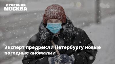 Андрей Киселев - Алексей Кокорин - Эксперт предрекли Петербургу новые погодные аномалии - vm.ru - Россия - Санкт-Петербург - Санкт-Петербург