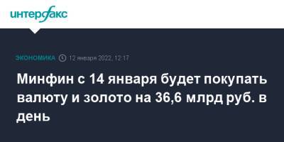 Минфин с 14 января будет покупать валюту и золото на 36,6 млрд руб. в день - interfax.ru - Москва - Россия