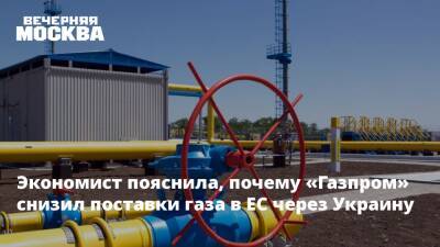 Наталья Мильчакова - Экономист пояснила, почему «Газпром» снизил поставки газа в ЕС через Украину - vm.ru - Россия - Украина - Белоруссия - Германия - Польша - Европа