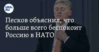 Дмитрий Песков - Сергей Рябков - Песков объяснил, что больше всего беспокоит Россию в НАТО - ura.news - Россия - Украина - Грузия