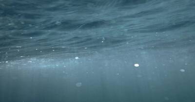 Неизвестный науке механизм. Микробы из глубин океана создают кислород без солнечного света - focus.ua - Украина - Дания