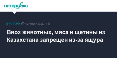 Ввоз животных, мяса и щетины из Казахстана запрещен из-за ящура - interfax.ru - Москва - Россия - Казахстан - Россельхознадзор