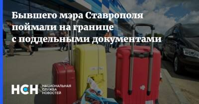 Бывшего мэра Ставрополя поймали на границе с поддельными документами - nsn.fm - Россия - Белоруссия - Польша - Стамбул - Ставрополь